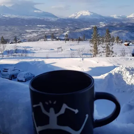 In Malselv Fjellandsby *