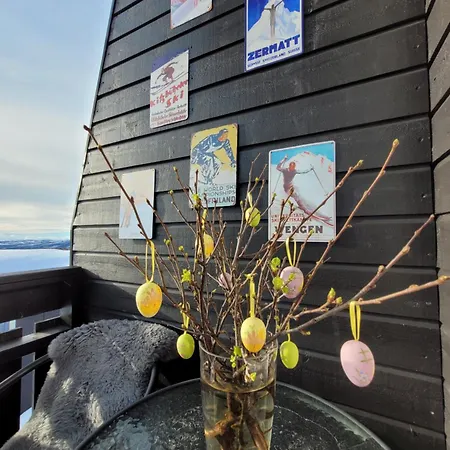 In Malselv Fjellandsby *