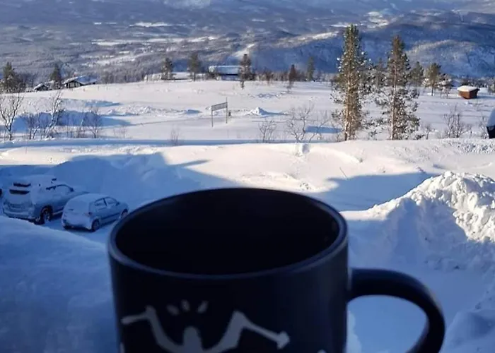 In Malselv Fjellandsby *