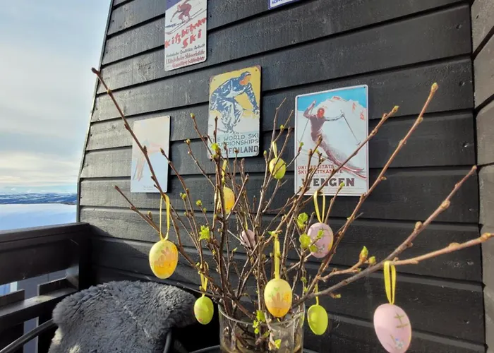 In Malselv Fjellandsby *